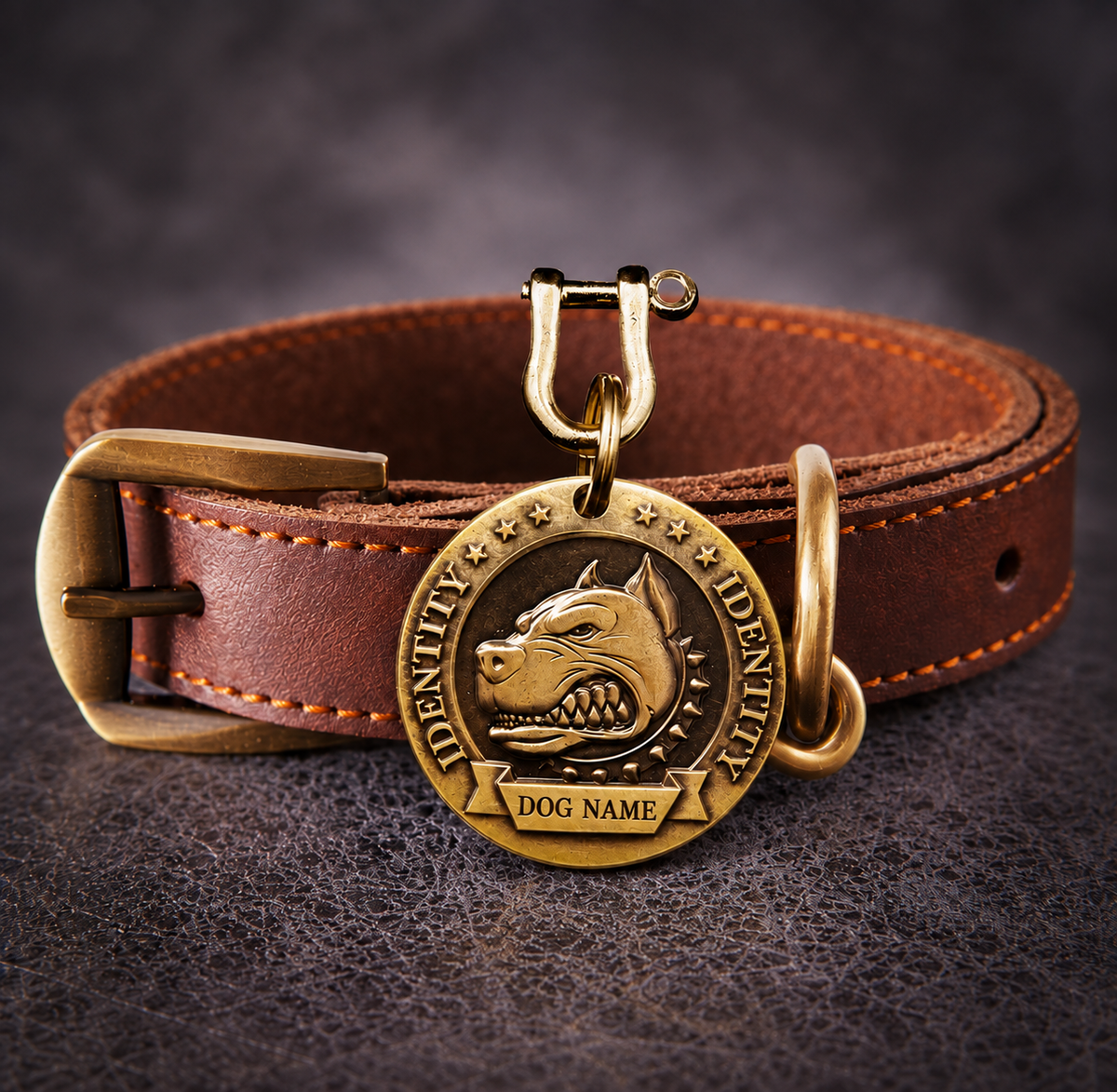 Customized Anti-lost Dog Collar Identity Tag