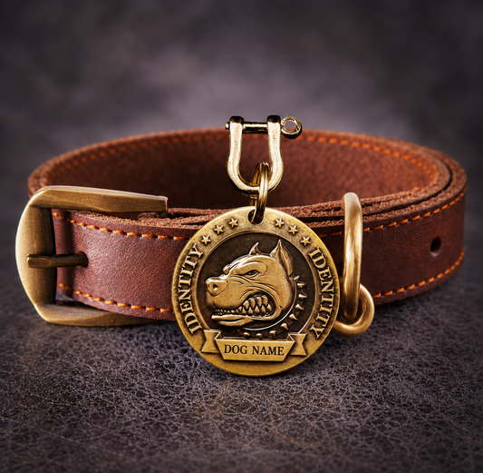 Customized Anti-lost Dog Collar Identity Tag