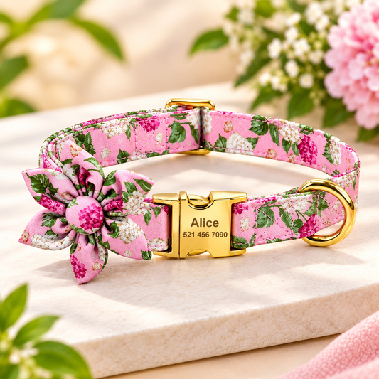 Fashion Printed Personalized Dog Collar