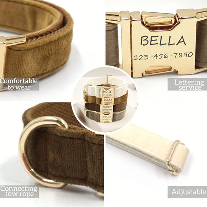 Personalized Dog Collar Tag