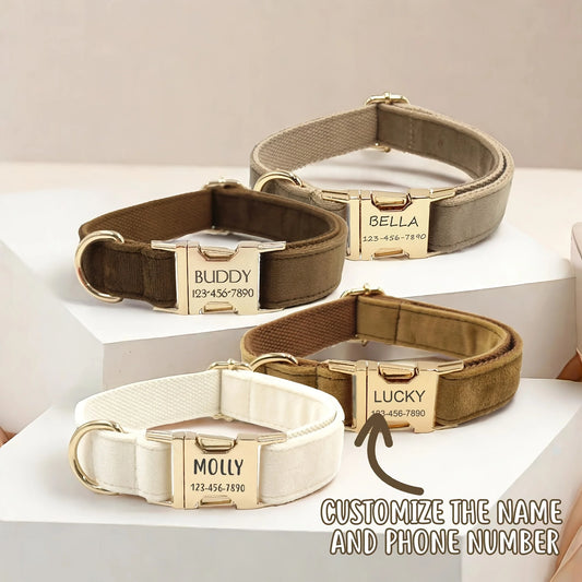 Personalized Dog Collar Tag