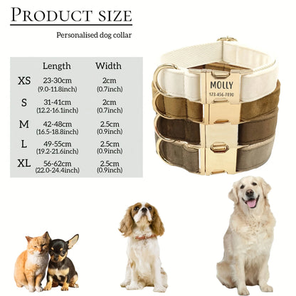 Personalized Dog Collar Tag
