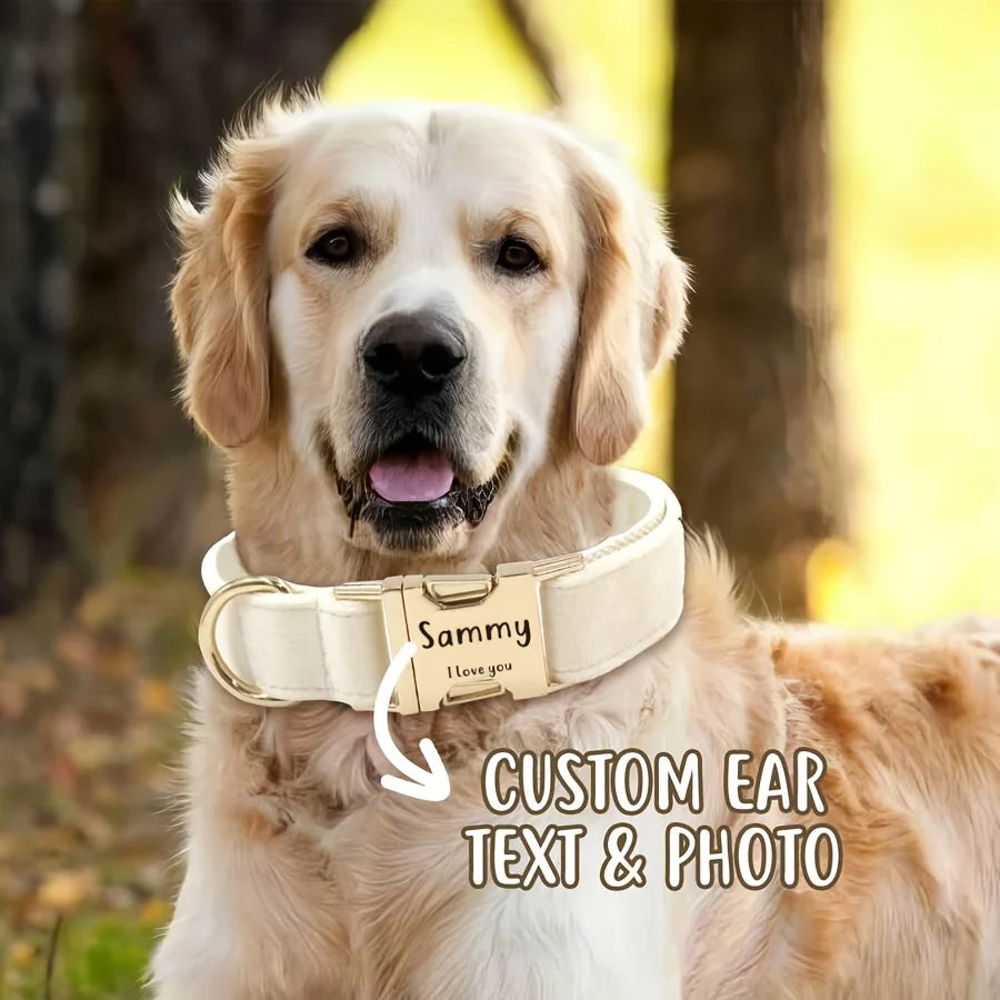 Personalized Dog Collar Tag