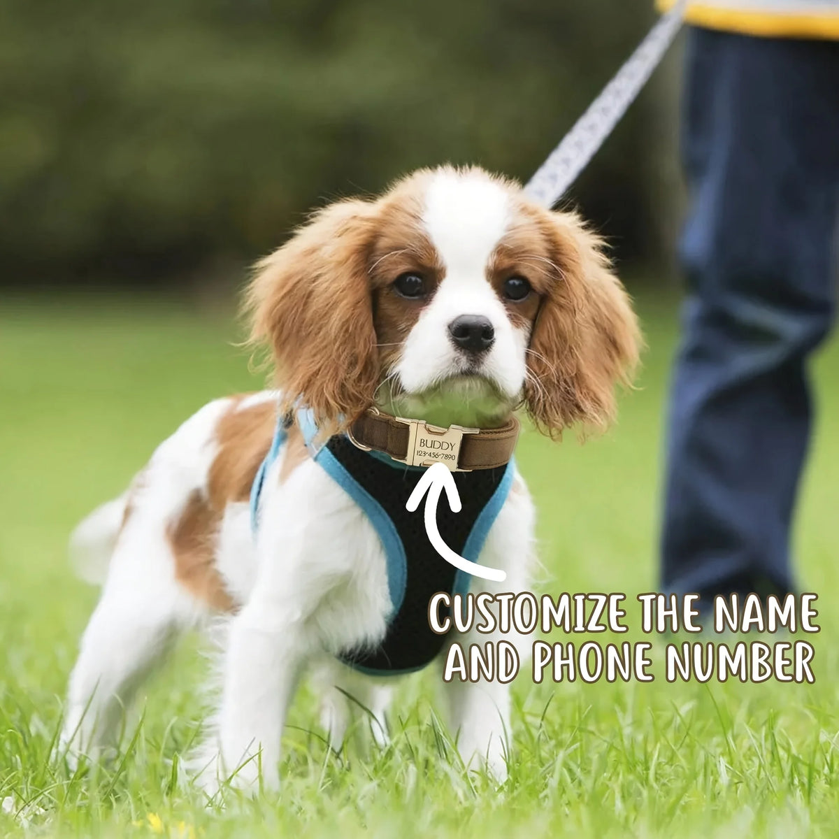 Personalized Dog Collar Tag